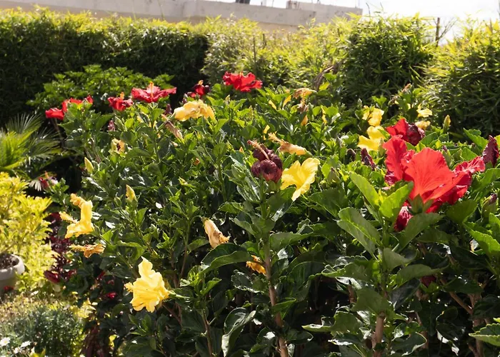 Hospedaje El Girasol Tababela