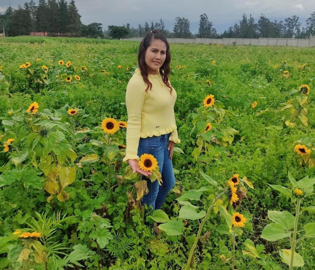 Guest house El Girasol Tababela